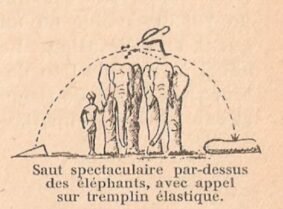 HebertElephant