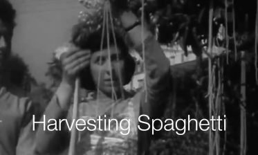 April Fools! 1957: The Spaghetti Harvest